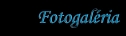 Fotogalria