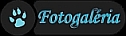 Fotogaleria